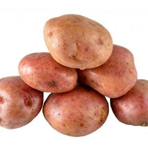 Disease-resistant table potato variety Kurazh from Holland