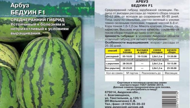 Hindi mapagpanggap sa pangangalaga, ultra-early watermelon Bedouin f1 para sa gitnang Russia