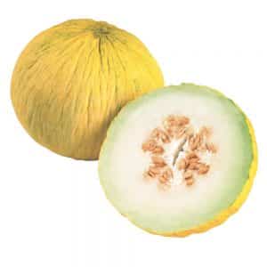 ¿Qué tiene de bueno el melón Kassaba, cómo elegirlo y cultivarlo?