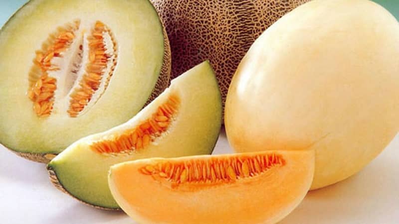 Epektibong melon diet para sa pagbaba ng timbang: mga review at calorie na nilalaman