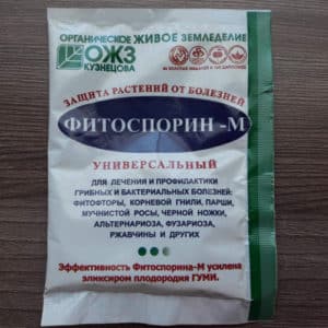 Instructions for use of phytosporin for cucumbers