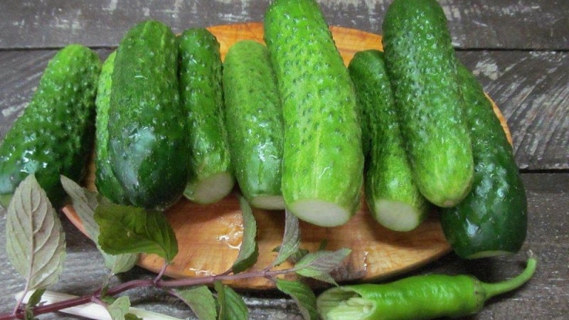 How to quickly and tasty cook lightly salted cucumbers