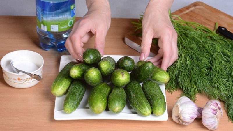 Hoe snel en smakelijk licht gezouten komkommers koken