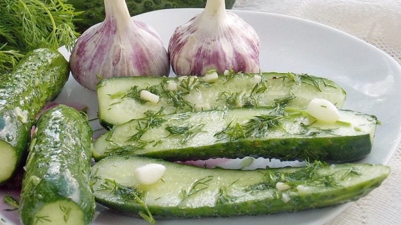 How to quickly and tasty cook lightly salted cucumbers