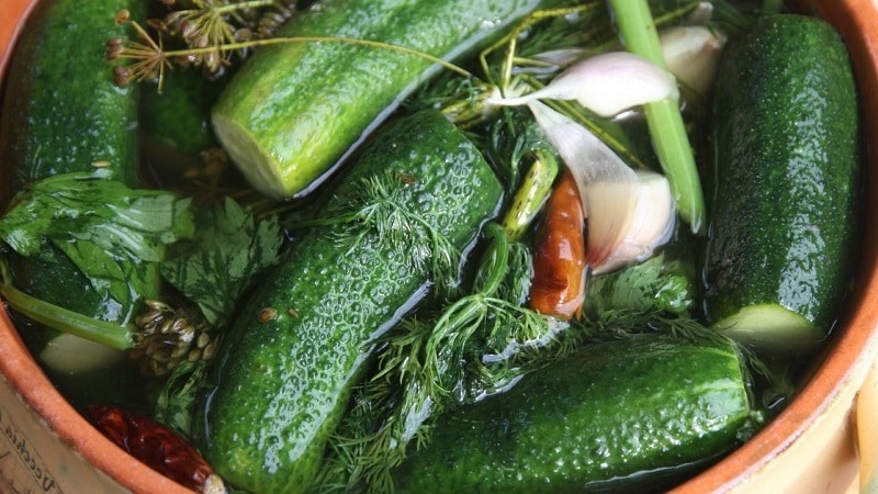 Hoe snel en smakelijk licht gezouten komkommers koken