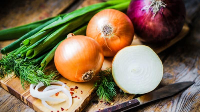 Comment manger des oignons pour perdre du poids : recettes de plats diététiques