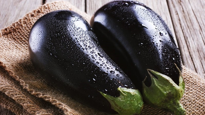 How to properly store eggplants at home until winter