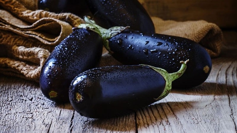 How to properly store eggplants at home until winter