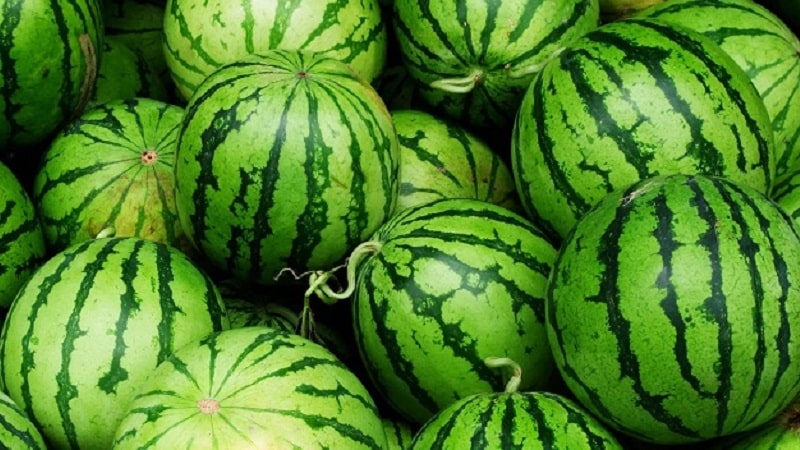 How to determine whether a watermelon is a girl or a boy, and choose a sweet, ripe fruit