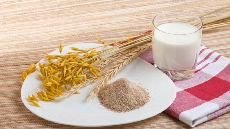 Perché l'avena fa così bene ai reni ed è vero?