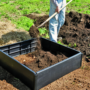 Hoe aardappelen in de tuin te planten en te laten groeien