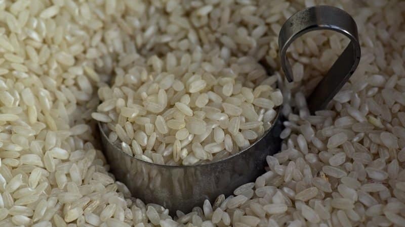 Comment conserver correctement le riz à la maison et combien de temps il peut être conservé