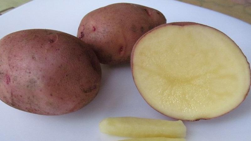 Hoe aardappelen te gebruiken om verschillende ziekten te behandelen