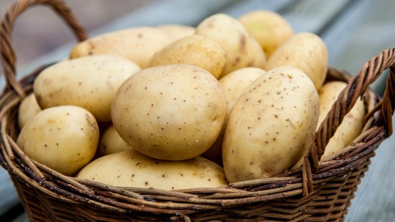 Nákup neškodné zeleniny: jak otestovat brambory na dusičnany doma a proč je to potřeba