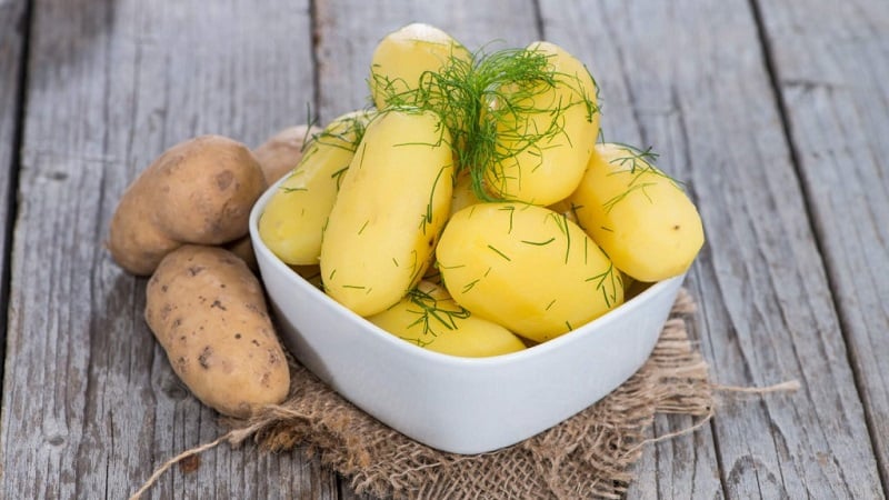 Att köpa ofarliga grönsaker: hur man testar potatis för nitrater hemma och varför det behövs