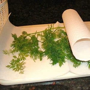 How to preserve dill for the winter at home: the best storage methods