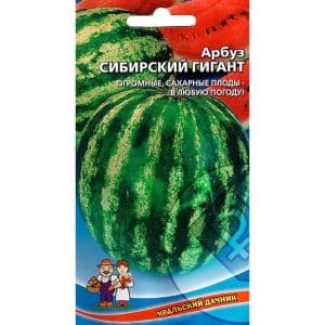 Which varieties of watermelons are preferable for planting in Siberia