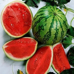 Which varieties of watermelons are preferable for planting in Siberia