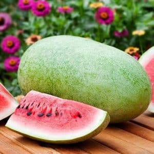 Which varieties of watermelons are preferable for planting in Siberia