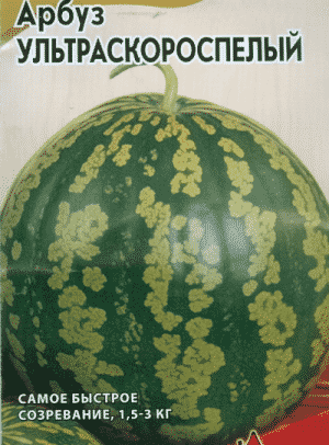 Which varieties of watermelons are preferable for planting in Siberia