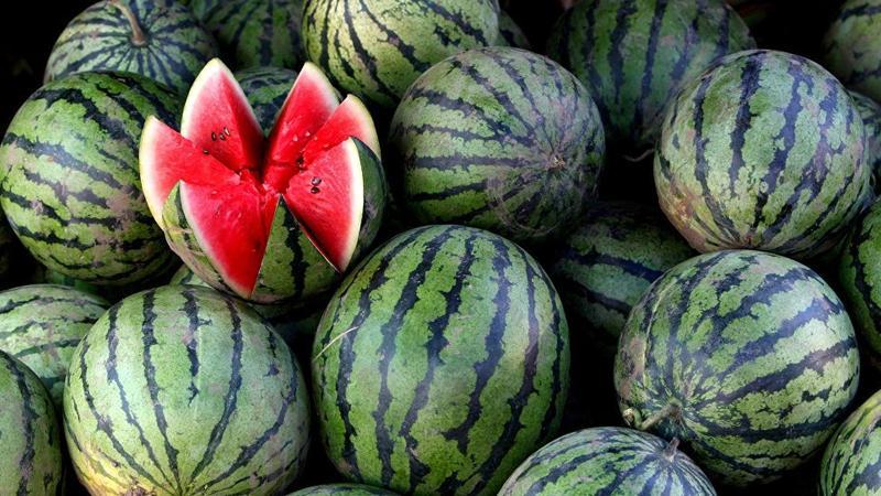 When do watermelons ripen and how to determine their degree of ripeness?