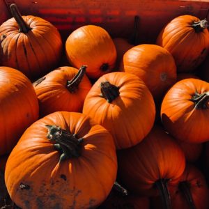 Come raccogliere in modo tempestivo: quando rimuovere la zucca dal giardino nella zona centrale