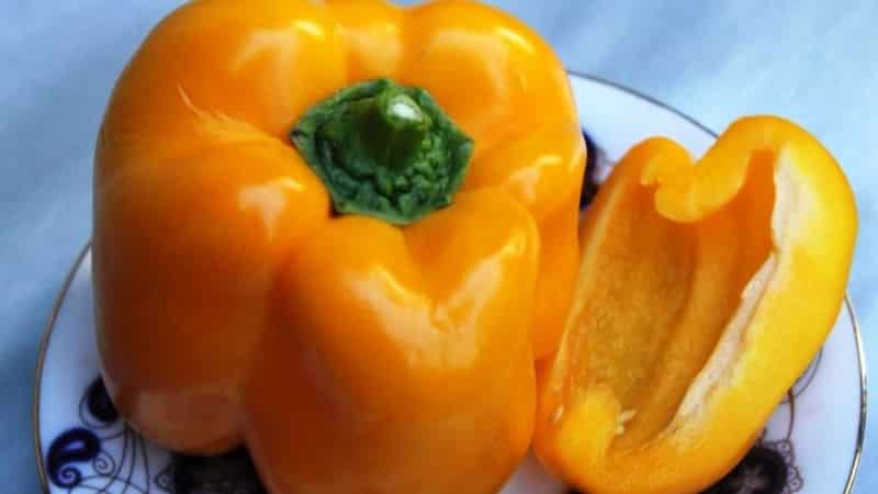 The best sweet pepper varieties for greenhouses in the Moscow region