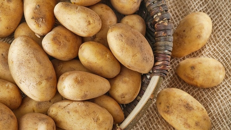 Kan ik aardappelen eten tijdens het geven van borstvoeding?