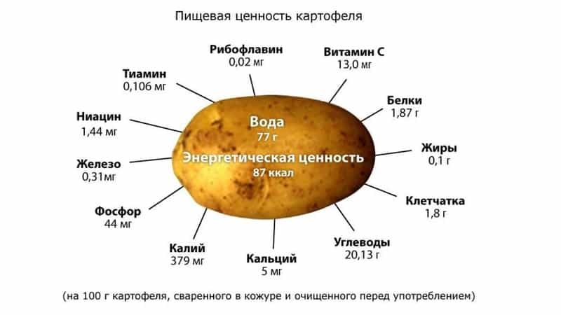 Ar galiu valgyti bulves maitinant krūtimi?