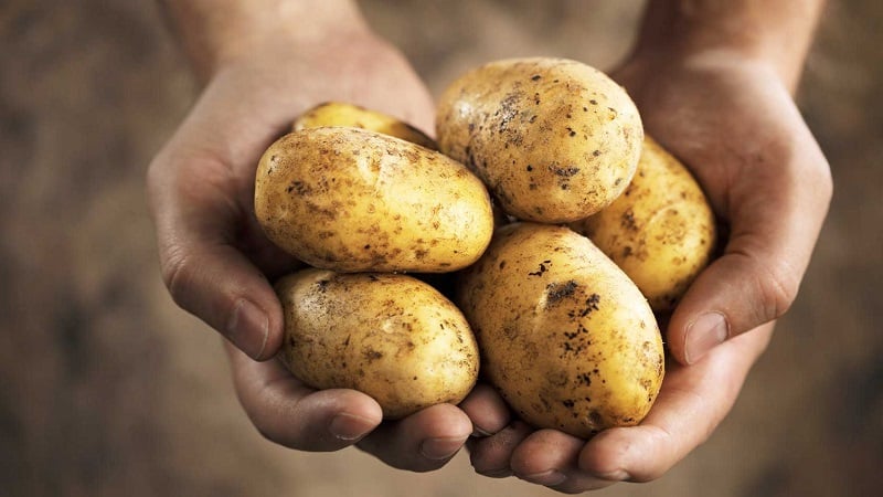 Can I eat potatoes while breastfeeding?