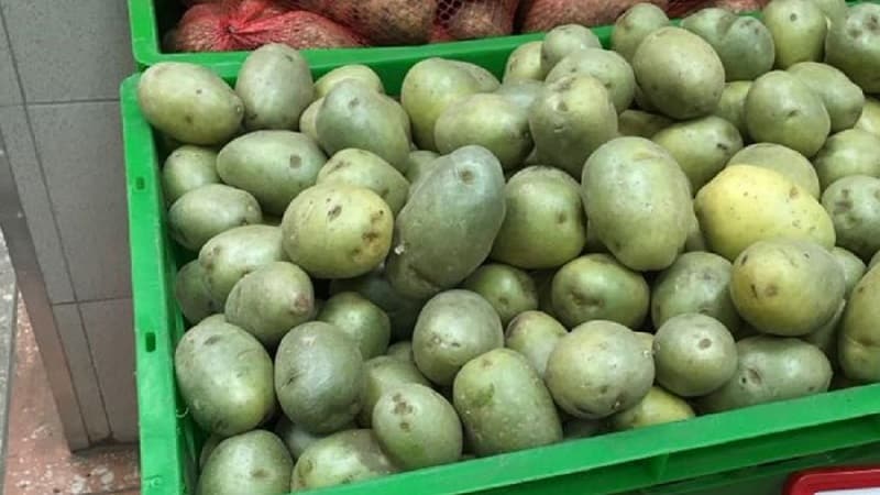 ¿Es posible comer patatas verdes, es peligroso para el cuerpo humano y por qué?