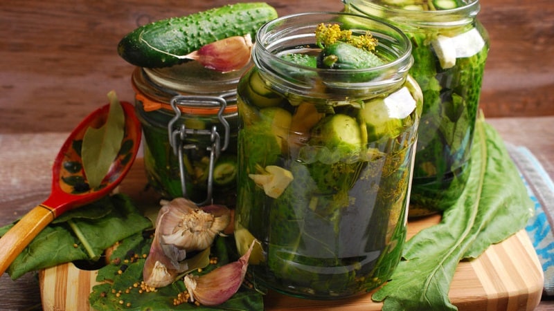 Is it possible to pickle Zozulya cucumbers and how to do it correctly