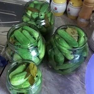 Is it possible to pickle Zozulya cucumbers and how to do it correctly