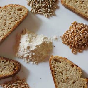 Dangerous gluten: is it in oats?