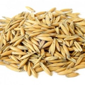 Dangerous gluten: is it in oats?