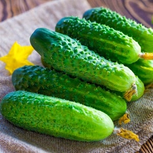 Domestic hybrid ng Garland cucumber, na magpapasaya sa iyo ng masaganang ani