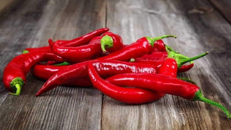 Pros y contras del cultivo de pimiento Tsitsak: cómo conseguir una buena cosecha