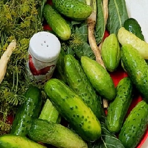 Why pickled cucumbers shriveled and how to make preparations correctly to avoid this