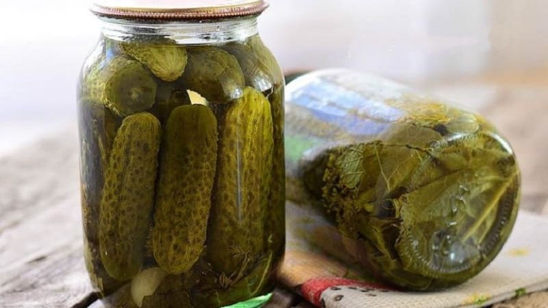 Hvorfor er pickles tomme indeni, og hvordan man laver dem korrekt, hvilket forhindrer dette problem