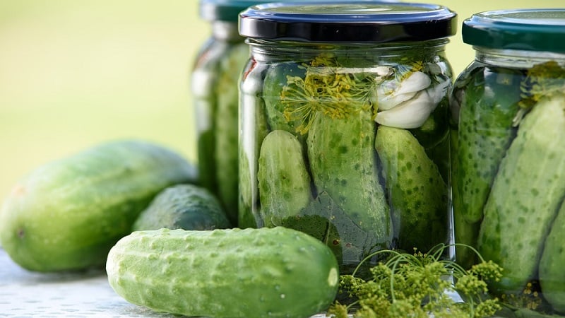 Hvorfor er pickles tomme indeni, og hvordan man laver dem korrekt, hvilket forhindrer dette problem