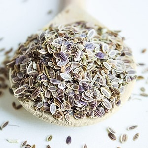 Beneficial properties of dill seeds and contraindications for their use