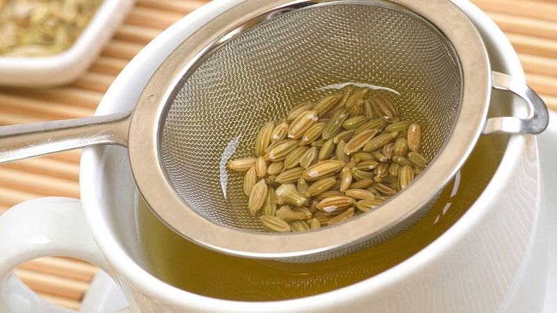 Beneficial properties of dill seeds and contraindications for their use