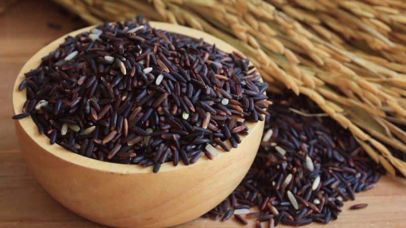 Los beneficios y perjuicios del arroz salvaje para el cuerpo humano.