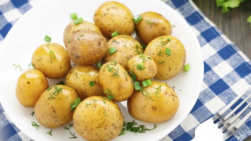 The benefits and harms of boiled potatoes for the human body