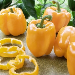 The benefits and harms of yellow bell peppers and is there a difference between the colors of the vegetable?