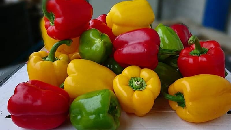 The benefits and harms of yellow bell peppers and is there a difference between the colors of the vegetable?