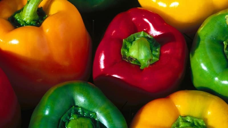 The benefits and harms of yellow bell peppers and is there a difference between the colors of the vegetable?