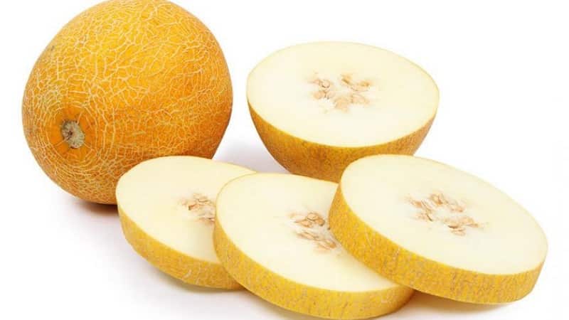 Melón popular Kolkhoznitsa: contenido calórico, beneficios y daños para el cuerpo.