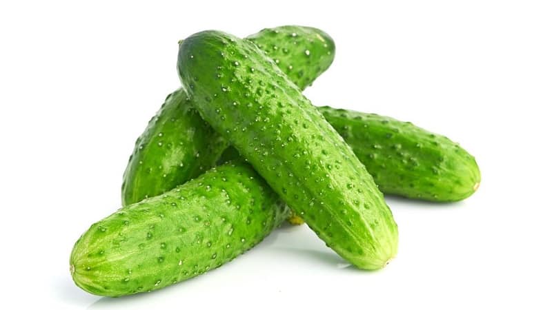 The Khrustik cucumber hybrid, popular among summer residents, has a juicy crunch and excellent taste.