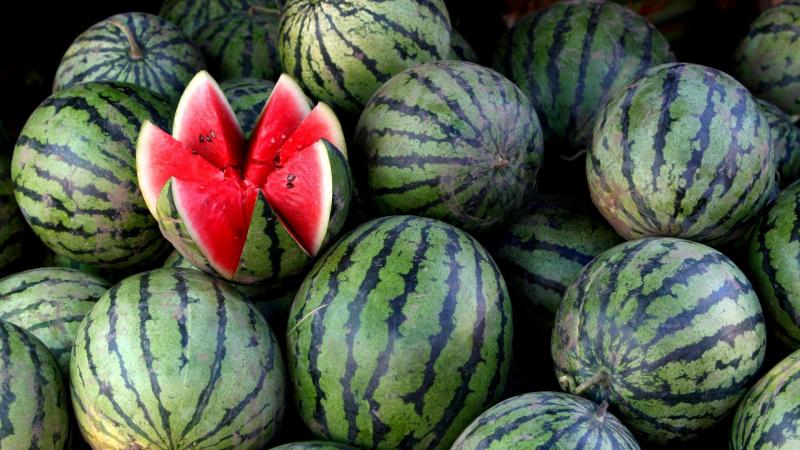 Razões pelas quais a melancia é amarga e é possível comer essa fruta?